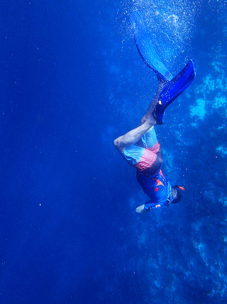 dive-2733339_1920